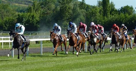 listowel races today|Today's Listowel Racecards .